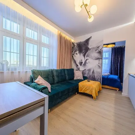 Perfekt * 카르파츠